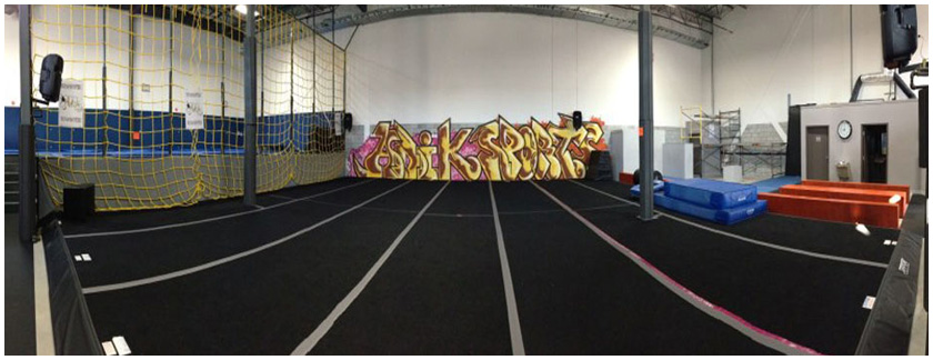 Tricking